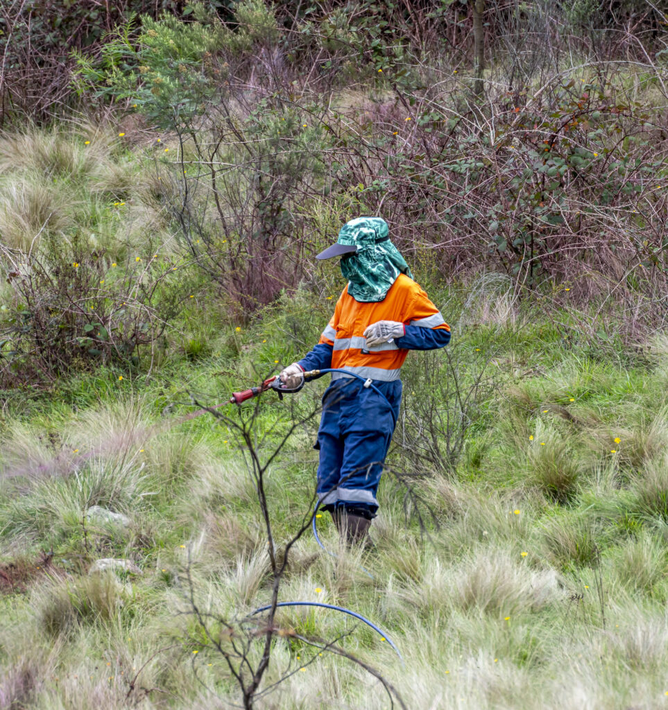 spraying